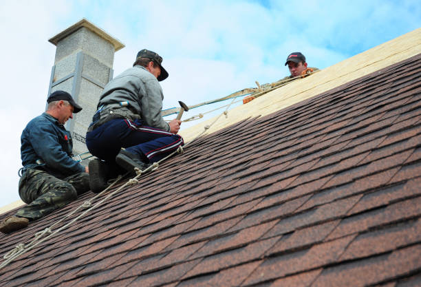 Roof Gutter Cleaning in Mount Repose, OH